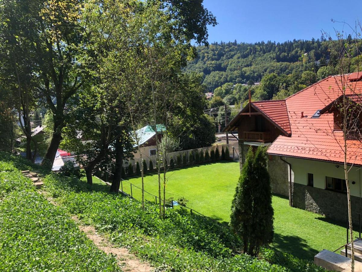 Pensiunea Piscul Cainelui Sinaia Exterior foto